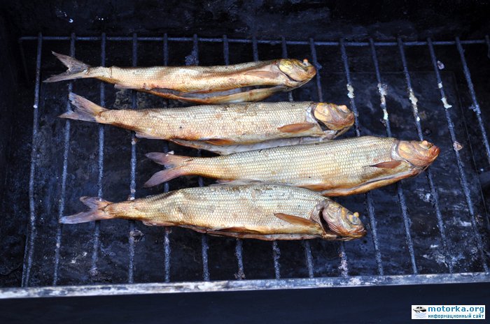 копченый хариус копченый хариус